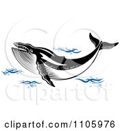 Poster, Art Print Of Black And White Humpback Whale In Blue Waves
