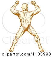 Poster, Art Print Of Muscular Body Builder Man Flexing