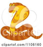 Orange Striped Cobra Snake