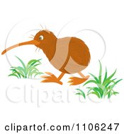 Clipart Walking Kiwi Bird Royalty Free Vector Illustration by Alex Bannykh