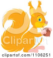 Poster, Art Print Of Cute Orange Squirrel Holding An Acorn