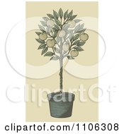 Woodcut Styled Potted Apple Tree