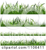 Poster, Art Print Of Four Lawn Grass Borders At Different Lengths