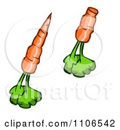 Clipart Carrots Royalty Free Vector Illustration