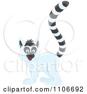 Poster, Art Print Of Cute Ring Tailed Lemur