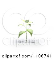 Poster, Art Print Of 3d Seedling Plant Growing From A Fissure