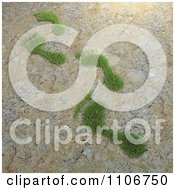 3d Grass Footprints On Cracked Mud