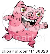 Running Ugly Pig
