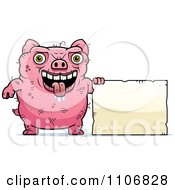 Ugly Pig With A Sign