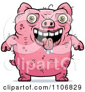 Ugly Pig