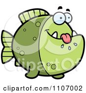 Hungry Green Piranha Fish