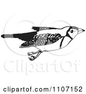 Black And White Double Bar Finch Bird Flying 1