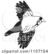 Poster, Art Print Of Black And White Double Bar Finch Bird Flying 2