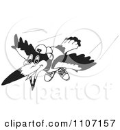 Black And White Magpie Bird Flying 2