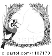 Black And White Golden Bowerbird With A Straw Frame