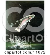 Poster, Art Print Of A Rainbow Trout Fish Jumping Out Of The Water After Biting A Fishing Hook