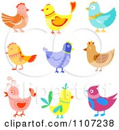 Clipart Colorful Chickens Hens And Birds Royalty Free Vector Illustration