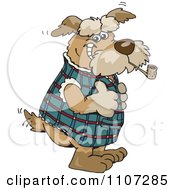 Scottish Terrier Dog Smoking A Pipe And Holding A Thumb Up
