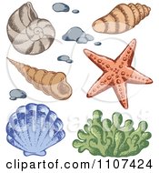 Clipart Sketched Sea Shells And Coral Royalty Free Vector Illustration