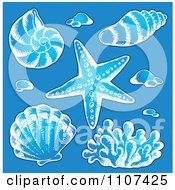 Poster, Art Print Of Sketched Sea Shells On Blue