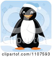 Poster, Art Print Of Happy Penguin Wearing A Blue Winter Cap In The Snow