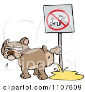 Bulldog Peeing On A No Dogs Sign