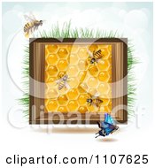 Poster, Art Print Of Bees And Honeycombs In A Wood Box With Grass And Sky 2