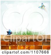 Poster, Art Print Of Butterfly And Brick Background With Grass