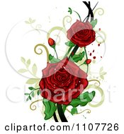 Red Rose Flowers Over Swirls And Splatters