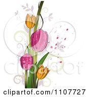 Pink And Yellow Tulip Flowers Over Swirls And Splatters