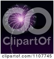 Poster, Art Print Of Purple Firework Bursting In A Night Sky