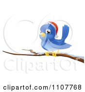 Poster, Art Print Of Christmas Bluebird Wearing A Santa Hat And Perched On A Branch With Snow