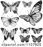 Poster, Art Print Of Retro Black And White Vintage Butterflies 1