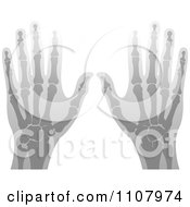 Clipart Xrays Of Human Hands 4 Royalty Free Vector Illustration by Lal Perera
