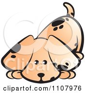 Poster, Art Print Of Cute Puppy Sniffing The Ground