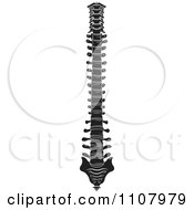 Clipart Black And White Human Spine 2 Royalty Free Vector Illustration by Lal Perera #COLLC1107979-0106