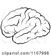 Poster, Art Print Of Black And White Outlined Human Brain