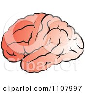 Clipart Pink Human Brain Royalty Free Vector Illustration