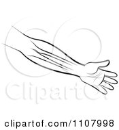 Clipart An Outlined Human Arm And Hand Showing The Bones Royalty Free Vector Illustration