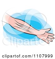 Clipart Human Arm And Hand Showing The Bones Over Blue Royalty Free Vector Illustration