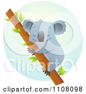 Poster, Art Print Of Happy Koala Hugging A Tree Over A Blue Circle