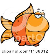 Poster, Art Print Of Bored Goldfish