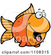 Poster, Art Print Of Hungry Goldfish
