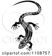 Clipart Black And White Tribal Lizard 4 Royalty Free Vector Illustration