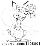 Clipart Black And White Outlined Kangaroo Holding A Winner Ribbon Royalty Free Vector Illustration