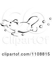 Poster, Art Print Of Black And White Platypus Swimming With Bubbles