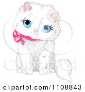 Cute White Kitten Sitting Looking Up And Wearing A Pink Ribbon Collar