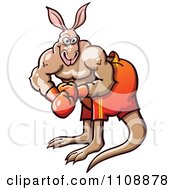 Poster, Art Print Of Athletic Boxer Kangaroo