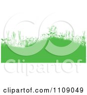 Poster, Art Print Of Green Grassy Burms With Wildflowers And Weeds On White