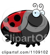 Chubby Smiling Ladybug